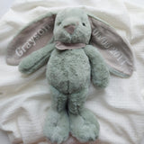 Personalized Plush Bunny Toy