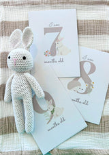 Milestone Cards - Little Prairie