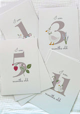 Milestone Cards - Little Prairie