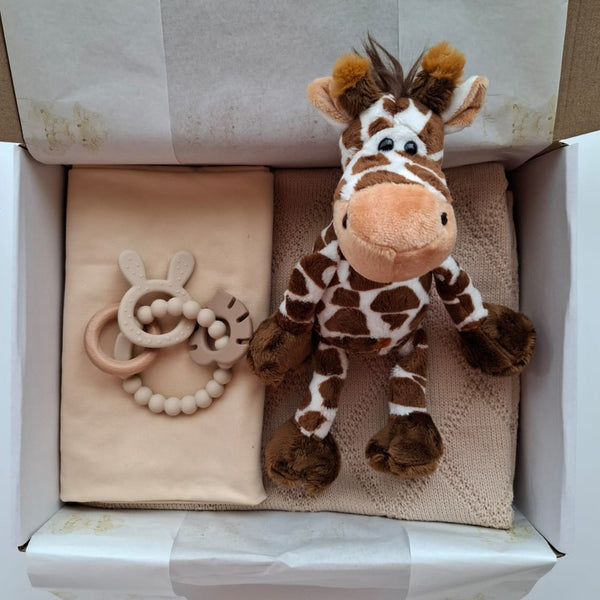 Baby Giraffe Gift Box