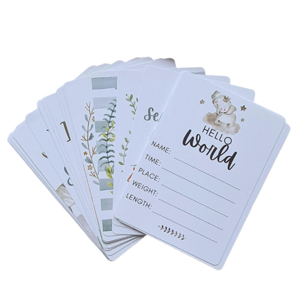 Baby Safari Colour Milestone Cards